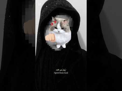 جست رقية💔🐰 #اشتراك #اكسبلور هي التي علمتني كيف اعشقهاااااا😖