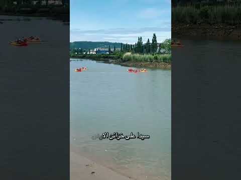 استمر بالسعي يأتي الفرج مفاجئ#شورت #اكسبلور #plat #food #baking #قصص_حقيقية #duet #cooking #fypシ