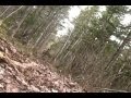 Pursuit (1/2)