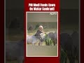 PM Modi Feeds Cows At His Residence On Makar Sankranti  - 01:00 min - News - Video