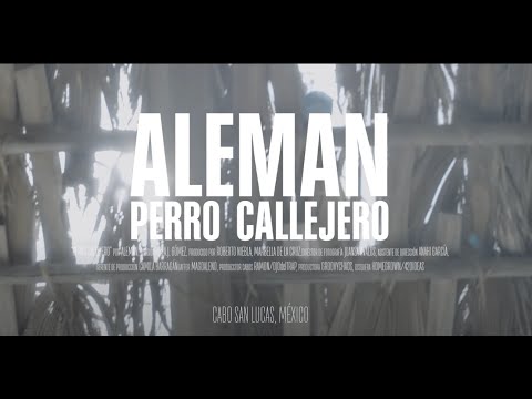 Alemán - Perro Callejero (Video Oficial)