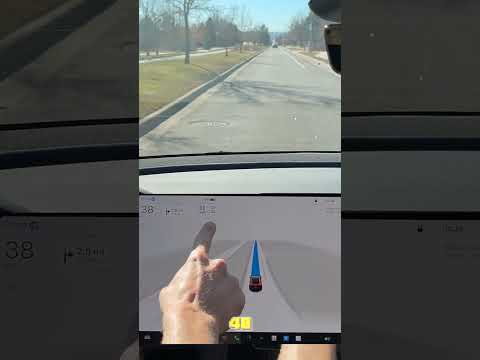 FSD Beta & Autopilot Auto-Magicly Does Speed Adjustment