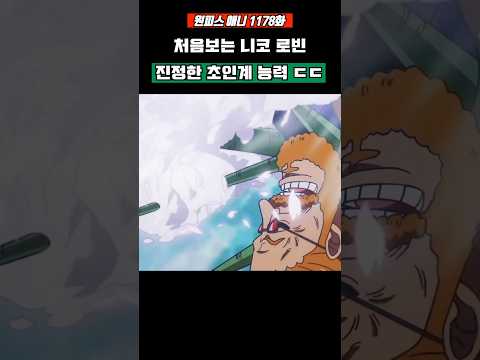 원피스) 처음보는 '니코 <strong>로빈</strong>' 진정한 초인계 능력