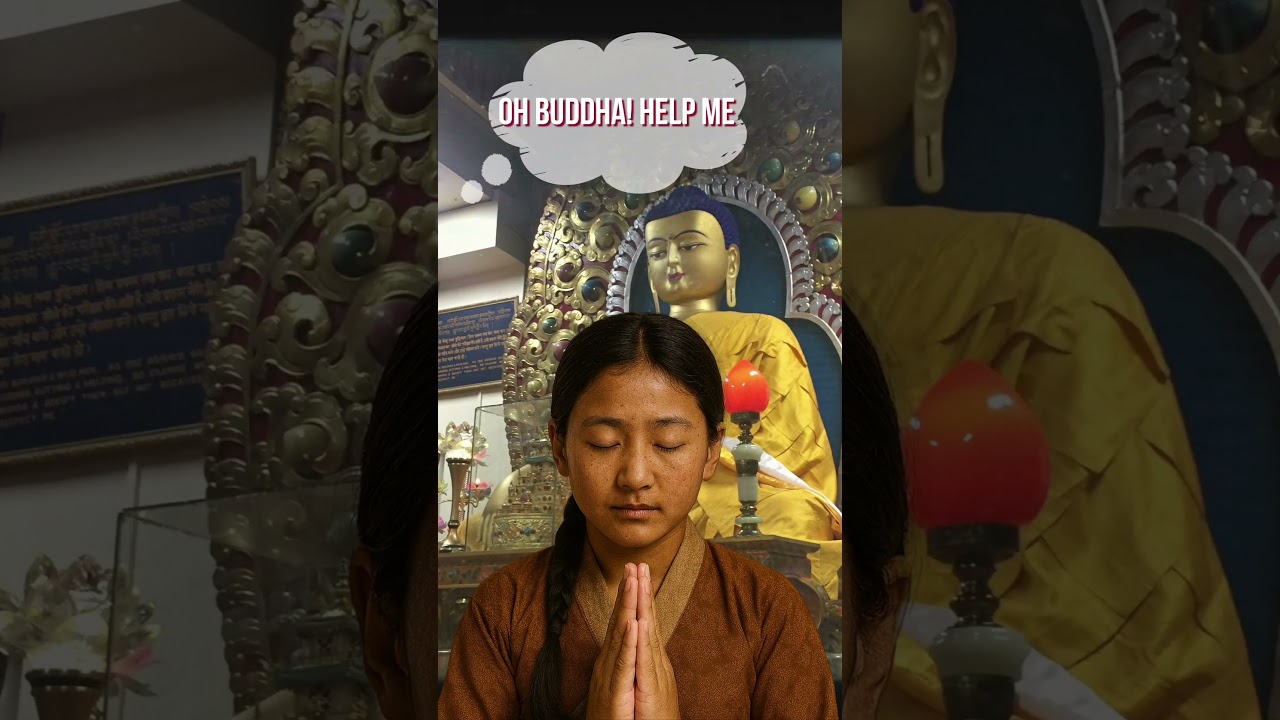 Four Principal Commitments of His Holiness the Dalai Lama: Knowledge on Emotions for Inner Peace