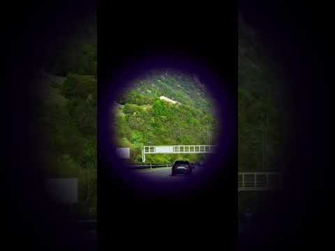 Có khi nào trên đường đời tập nập , ta vô tình thấy nhau #loiphatday #phatphap #tamtrang