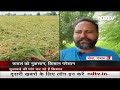 बारिश के कारण Punjab-Haryana में फसलों को नुकसान, किसान परेशान - 02:14 min - News - Video