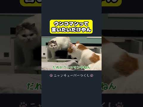 ウンコマンって言いたいだけやん…#猫 #おもしろ #アテレコ #ニャンチューバーつくし