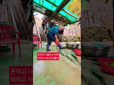 돈이고 나발이고 이러고 사는게 <strong>좋아</strong> '