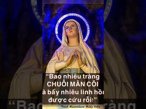 Lạy Mẹ Xin Yên Ủi Chúng Con Luôn Luôn #caunguyen #maria #shortvideo #short #chuagiesu