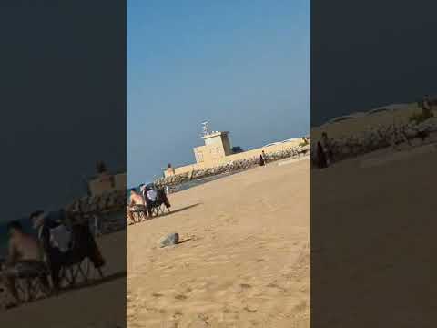 Fun vlog with family #live #beach #samandar #shortslive