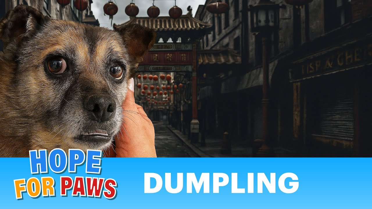 Kind people fed her, but she didn't want to live on the streets anymore.