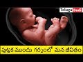 Life Inside the Womb Before Birth- Explained In Telugu