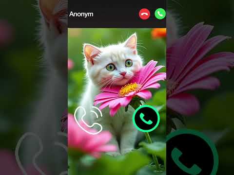 Cat Calling 😮#ringtone #cat #gato #babygirl #youtubeshorts #catlovers #viralvideo #mi #shorts