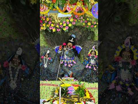 प्यारे मोहन लाल 🙏🙏#viralvideo