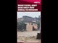 Deadly Floods, Heavy Rains Sweep Away Animals in Uttarakhands Dehradun