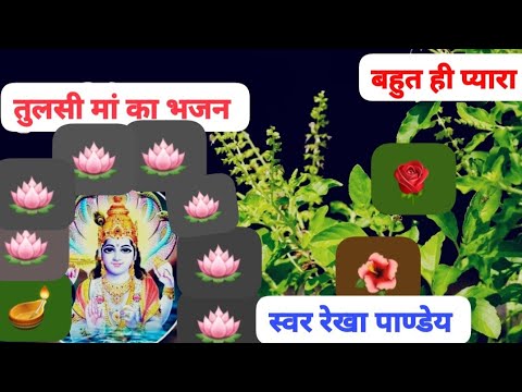 #तुलसी मां भजन#तुलसा तू कितनी प्यारी है # tulasi maa bhjan #swar rekha pandey #@