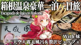 豪華すぎる箱根旅館で姉妹まったり1泊2日♨️贅沢ビュッフェと露天風呂で幸せすぎた！【Merun Ch. 森野めるん】