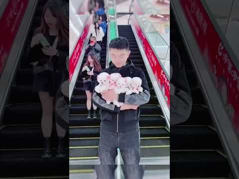 #All My Pets,One Big Hug#Caught with a Handful of#shortdfeeds#Fluffy Squad Goals#cute#tending#shorts