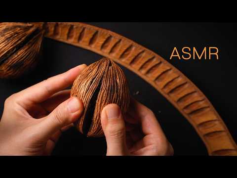 ASMR The Ultimate Trigger Collection for Sleep 🌙