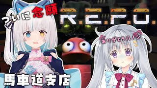 完全初見【#repo 】香鳴ハノンに感謝のR.E.P.Oするね...【馬車道はげみ支店】