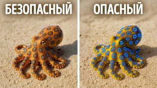 Это существо кусает не для того, чтобы напугать вас, а чтобы забрать вашу жизнь