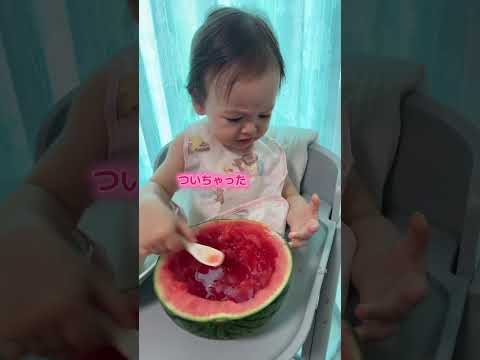 るるちゃんはメロンより断然スイカ派！#shorts