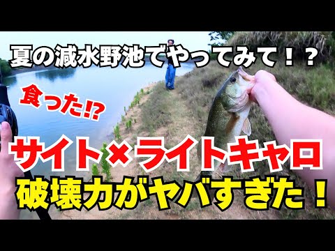 サイトで食わせた瞬間がヤバい!見えバスに効くライトキャロ戦略!?