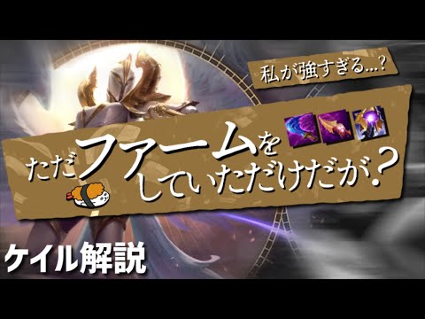 【ケイル vs シンジド】スケーリングの鬼！圧倒的スケールの前に跪け！！最強のケイル講座【DFM Evi解説】