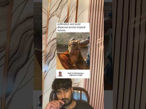 Nahh I'm Def having a nightmare tonight