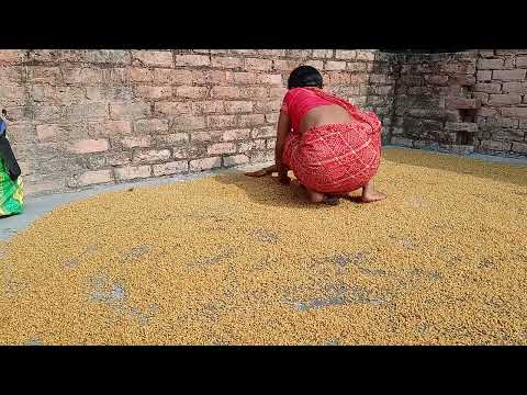 Gudiya ji vlog 🪔🪔🪔🪔🪔🪔