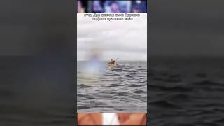 Кит СОЖРАЛ КАЯКЕРА! #shorts #шортс