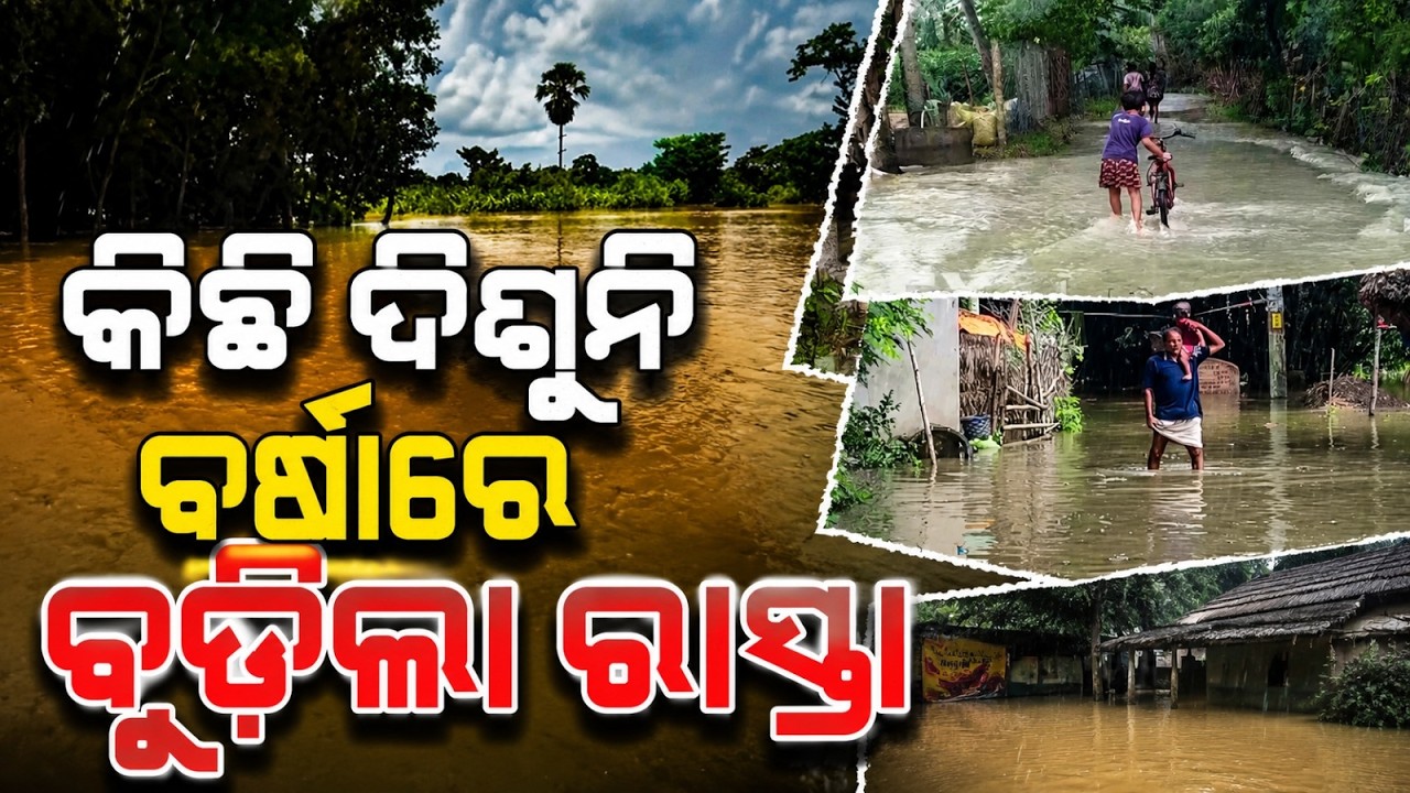 କିଛି ଦିଶୁନି, ବର୍ଷାରେ ବୁଡ଼ିଲା | Bhadrak Rain Update | Roads Submerged as Heavy Rainfall | Argus News