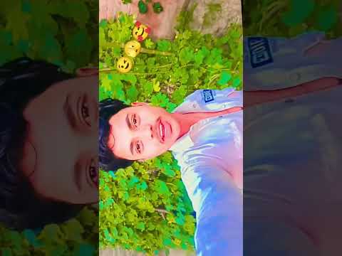 तू तो लगाताडू तितली सहार के || #trending #viral #love #song