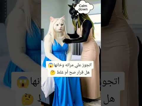 #catlovers #kitty #aicat #poorcat #catvideos #cat #meow #funny #ai #viral #trending #tiktokvideo