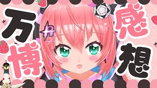 【雑談】大阪・関西万博の感想～！行ったパビリオンとか #expo2025  #光りりあ サッカー女児 VTuber
