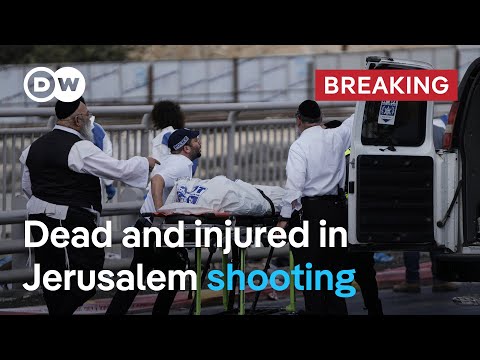 Two gunmen reportedly open fire at a bus stop before being killed by police | DW News
