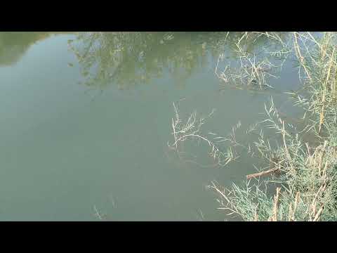 رحله داخل صيد شوف صدمه 🤫