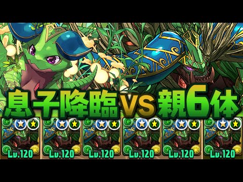 【親子対決】シルヴァ艦隊でシルドラン降臨に突撃してみた【パズドラ】