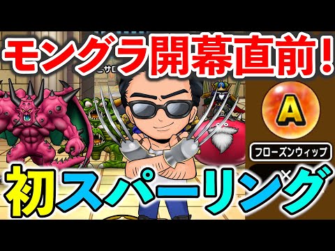 【ドラクエウォーク】モングラ開幕直前！ 初スパーリング！！！