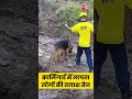 karliguard में लापता लोगों की तलाश तेज #shorts #dehraduneflood #uttrakhandflood #karliguard  - 00:24 min - News - Video