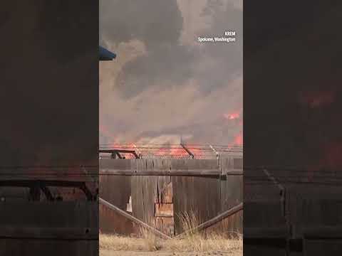 Fires near Spokane, Washington, have burned 600 homes and evacuated 60,000 people