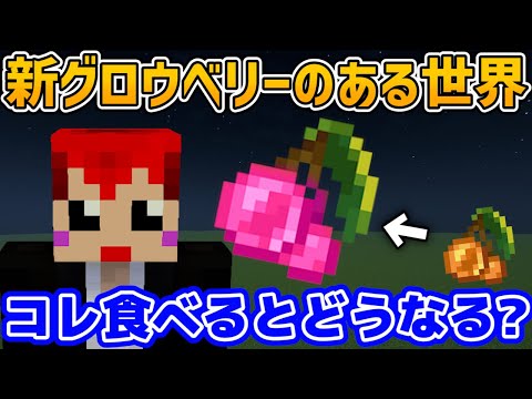 【マイクラ】グロウベリー追加MODで遊ぶの巻【赤髪のとも】