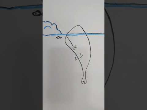 رسم حوت سهل للاطفال المبتدئين Drawing a whale for children