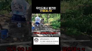 무인도에서 발견된 만렙대나무