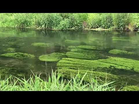 Yvonne Borrmann tests Semperfli Dry Fly Polyyarn