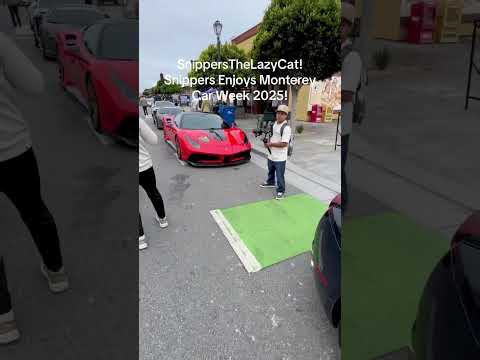 SnippersTheLazyCat! Snippers Enjoys Monterey Car Week 2025 #cars#lamborghini#ferrari#montereycarweek