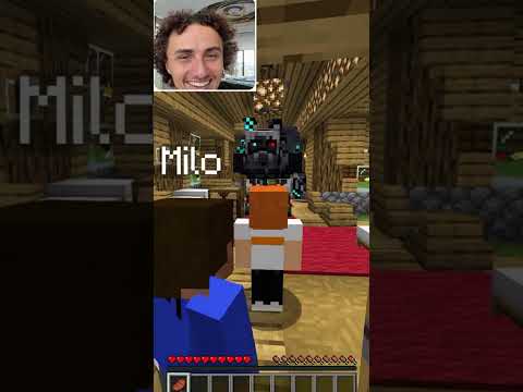 Kwebbelkop