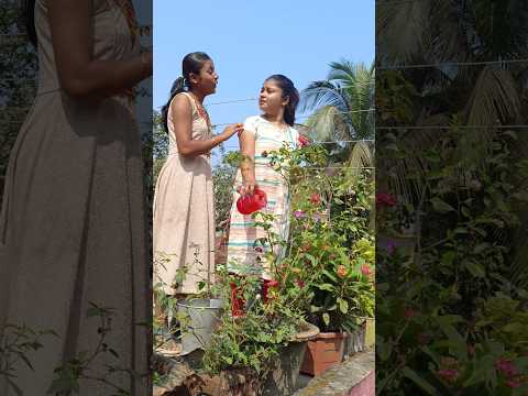 বোনের জন্মদিনে গাছ কান্ড!😂😂#banglaminivlog #minivlog #gardeningtips #gardening #plantslove #plants