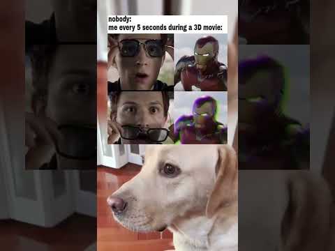 #memes #story #dog #shorts #pets