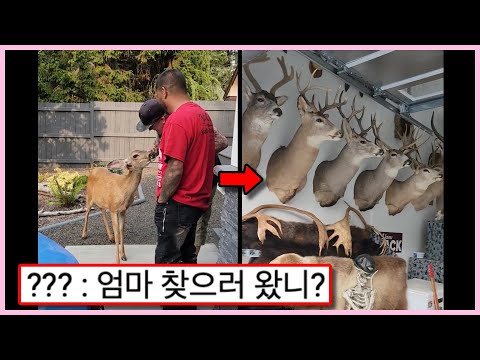 ㅇㅎ) 씨름선수에게 덤볐다가 능욕 당해버린 처자 (웃긴영상)